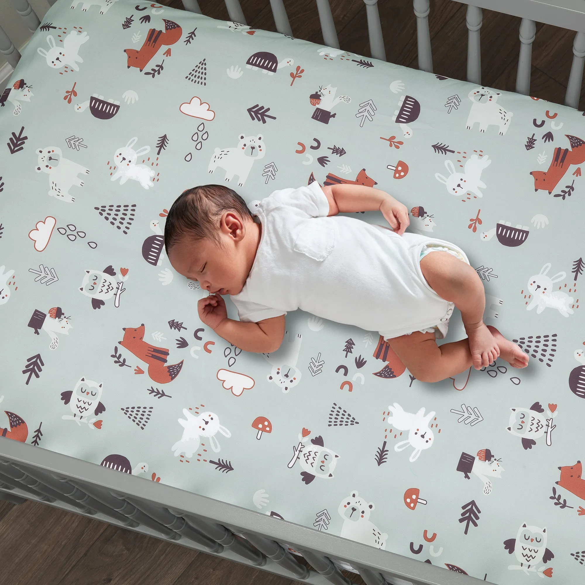 Animal Alphabet 5-Piece Crib Bedding Set