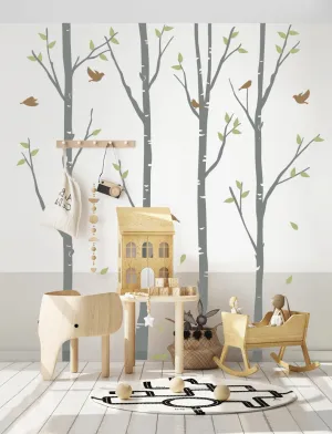 Birch Trees And Birds Wall Decal