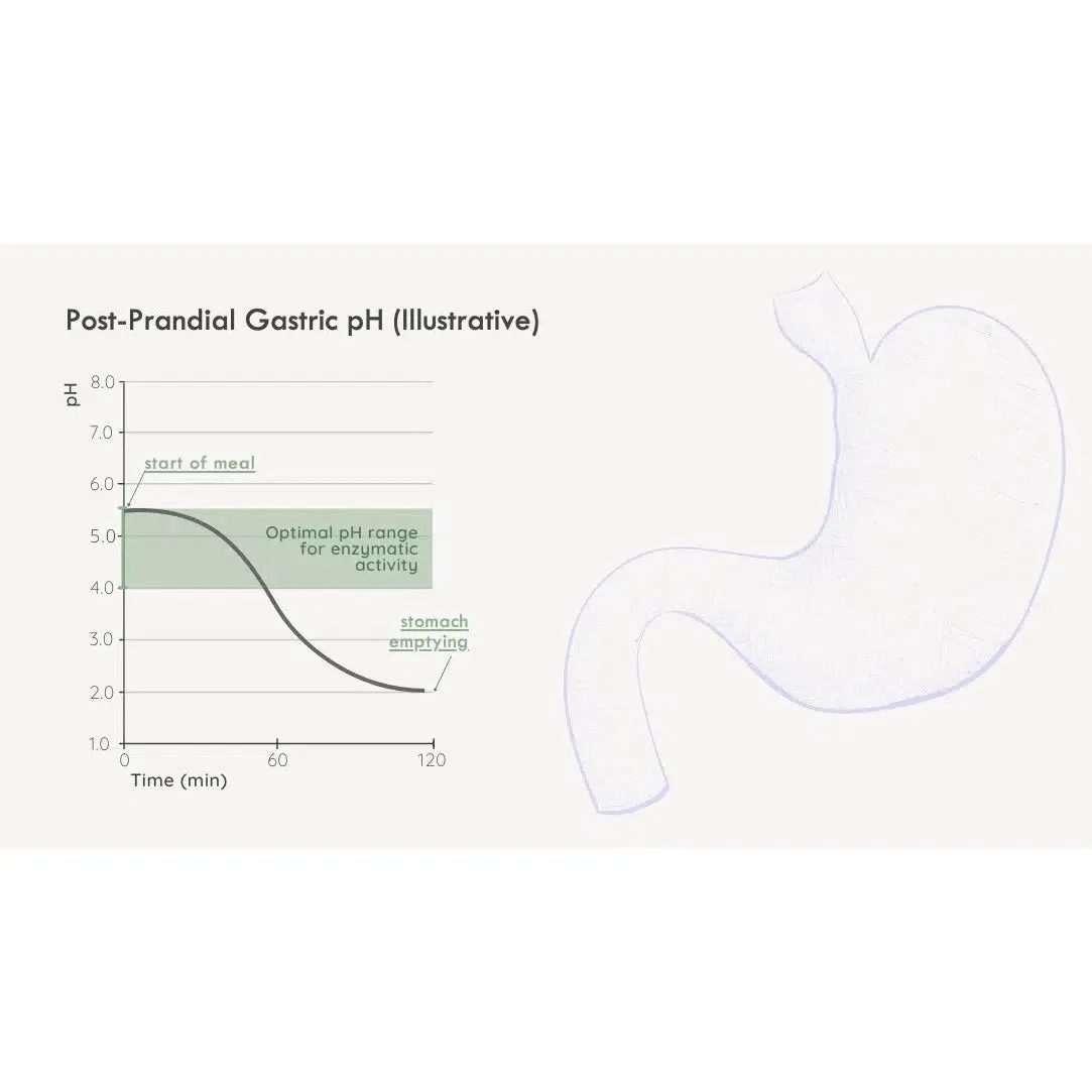 FODZYME® 30-Dose On-The-Go Kit