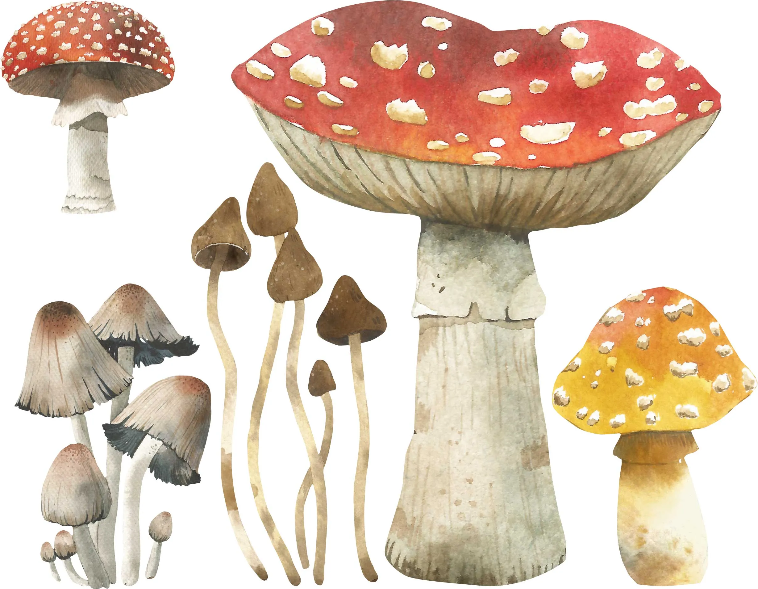 Mushroom Wall Decals - JUMBO SIZE - Set of 5