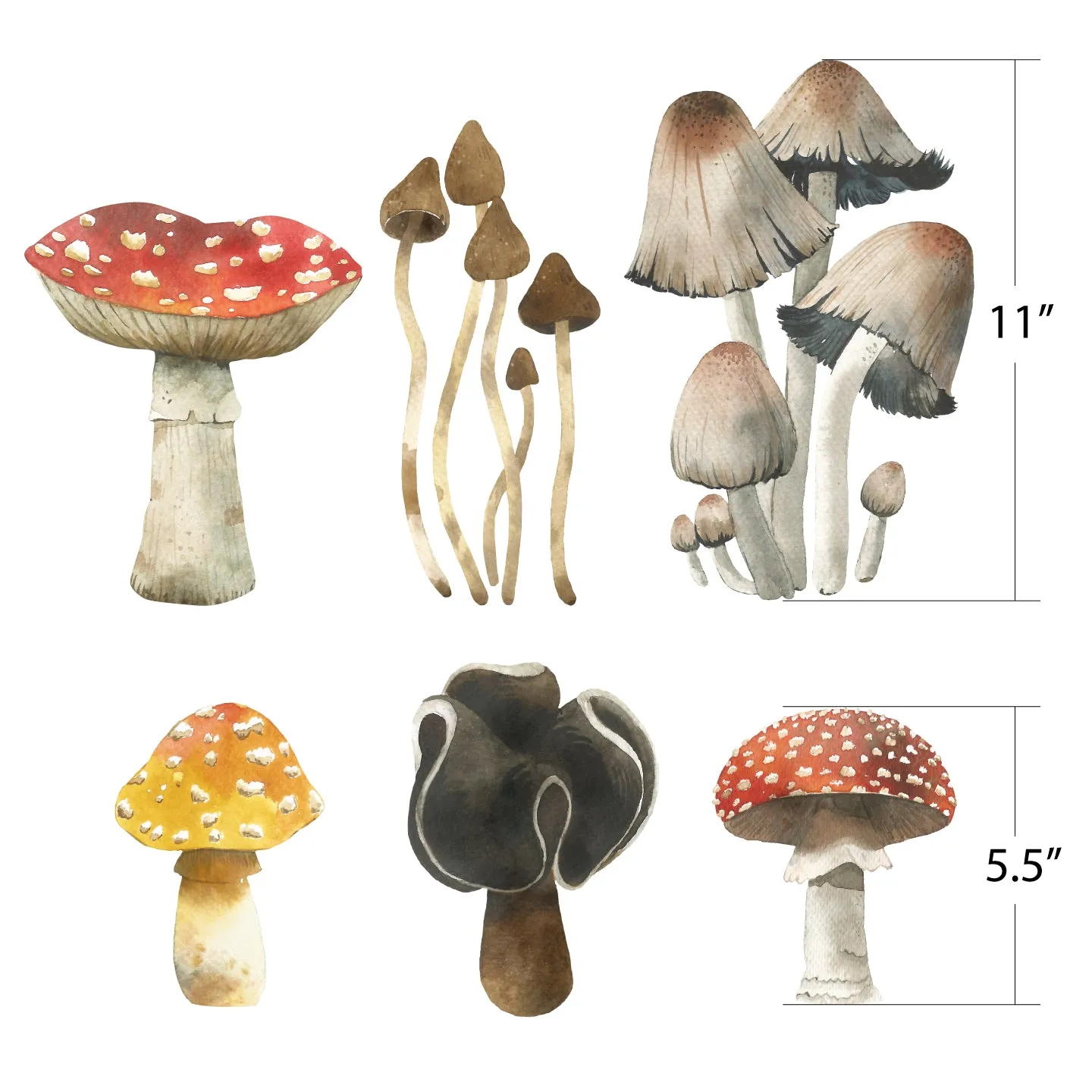 Mushroom Wall Decals - Set of 6 Toadstools & Mushrooms