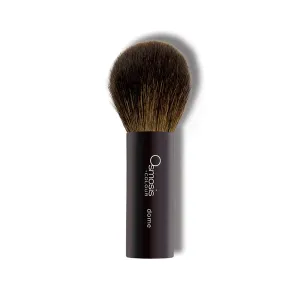 Osmosis Dome Powder Brush