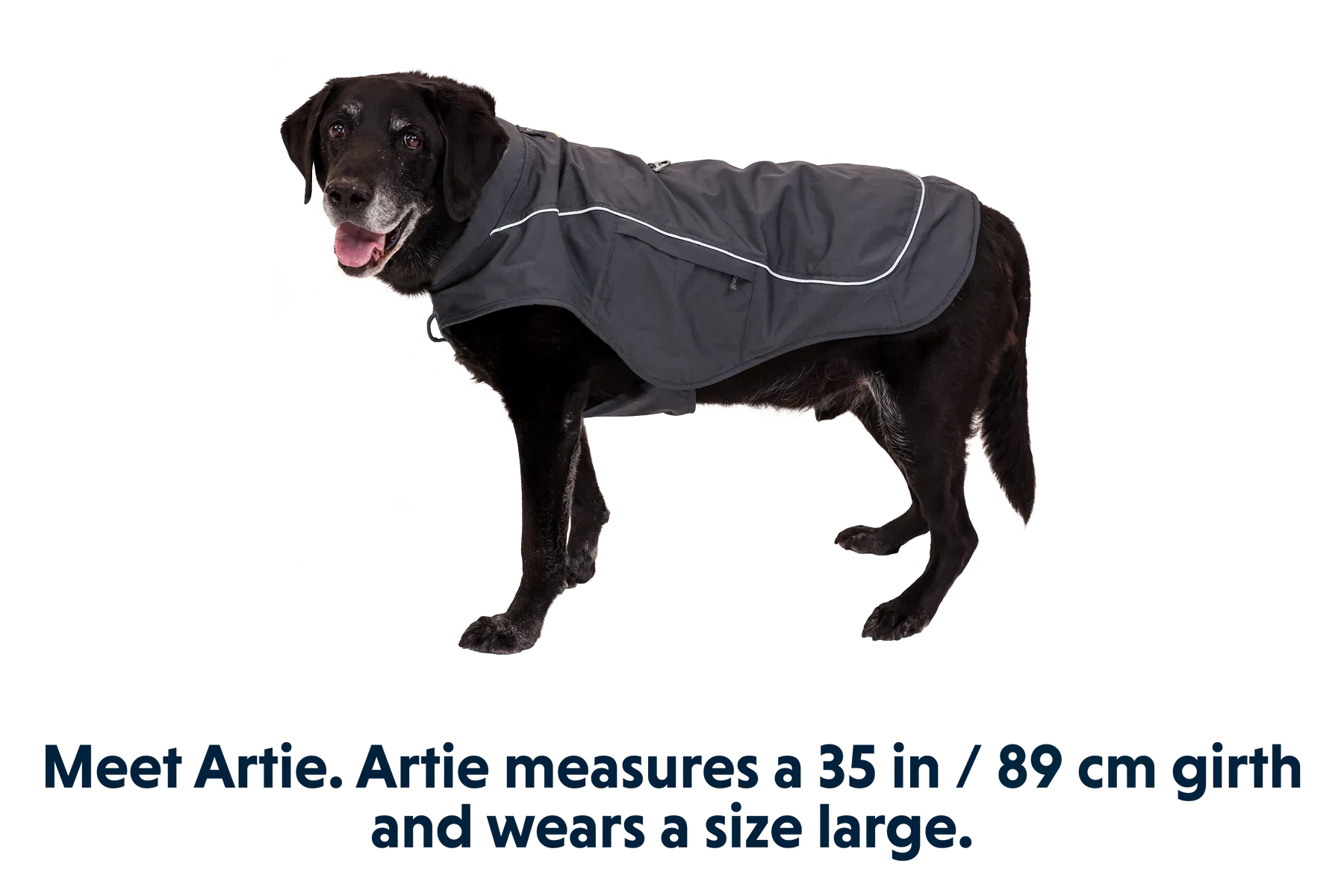 Overcoat Fuse™ Dog Harness Jacket