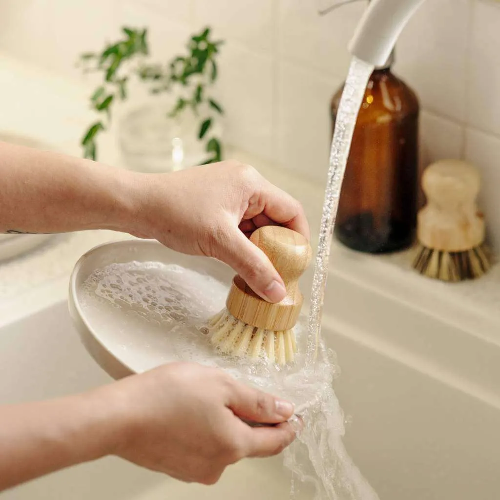 Pots & Pans Scrubbing Brushes (Set of 2)