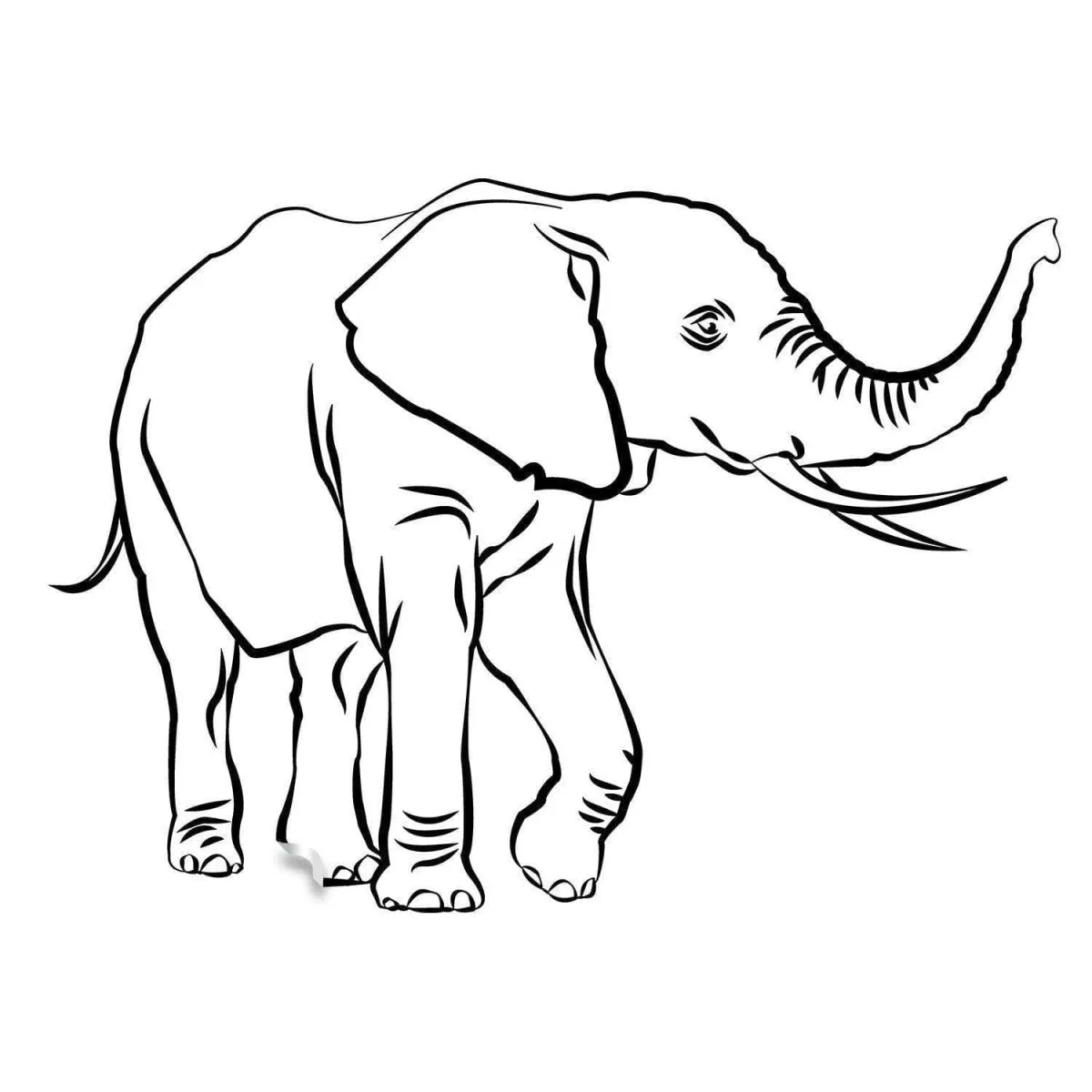 Vinyl Wall Elephant Decals - Charming Sticker Decorations